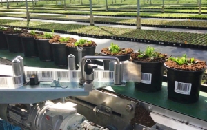 Machine de pose d'étiquettes autocollantes